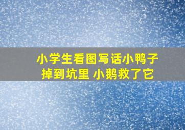 小学生看图写话小鸭子掉到坑里 小鹅救了它